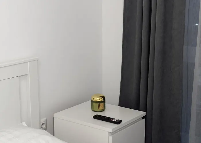 Luxury Avantgarden 公寓 布拉索夫